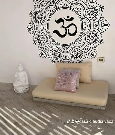 펜션 Casa Claudia Radazul *